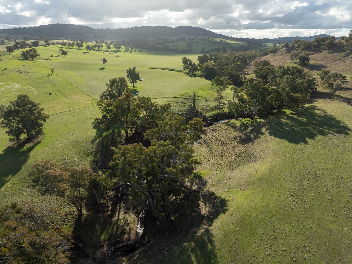 Additional image 19 of 1507 Pine Mount Road, Woodstock NSW 2793