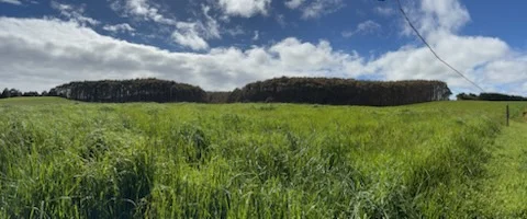 Additional image 5 of 226 Hursts Road, Lileah TAS 7330