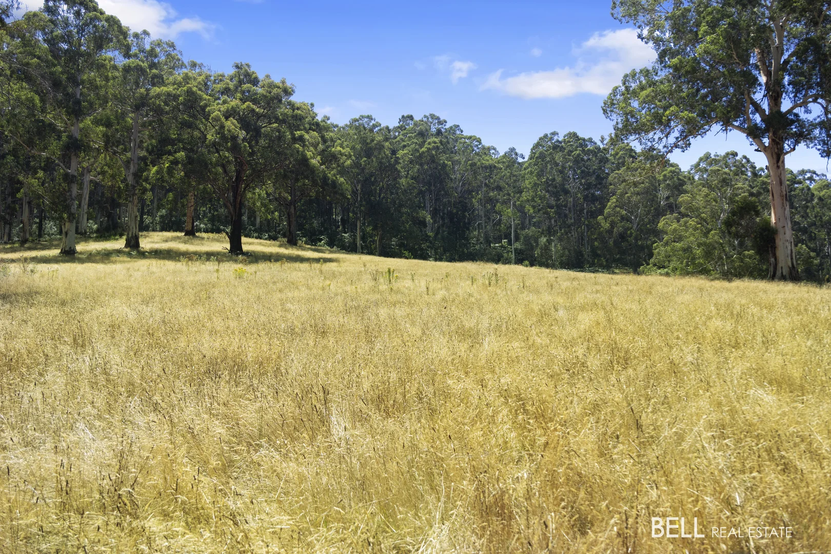 Additional image 2 of 1115 Little Yarra Road, Three Bridges VIC 3797