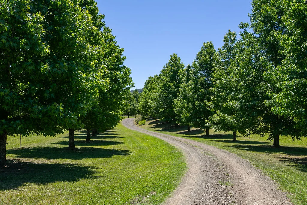 Additional image 22 of 147 Rosses Road, Gloucester NSW 2422