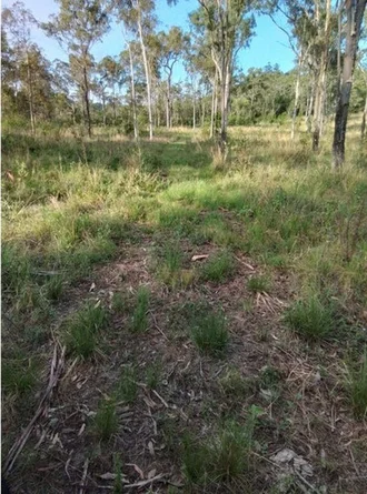 Additional image 10 of Lot 3 Kanigan Road, Kanigan QLD 4570