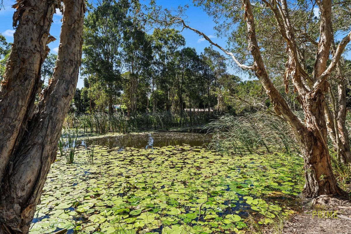 Additional image 32 of 29 Parklands Boulevard, Wondunna QLD 4655