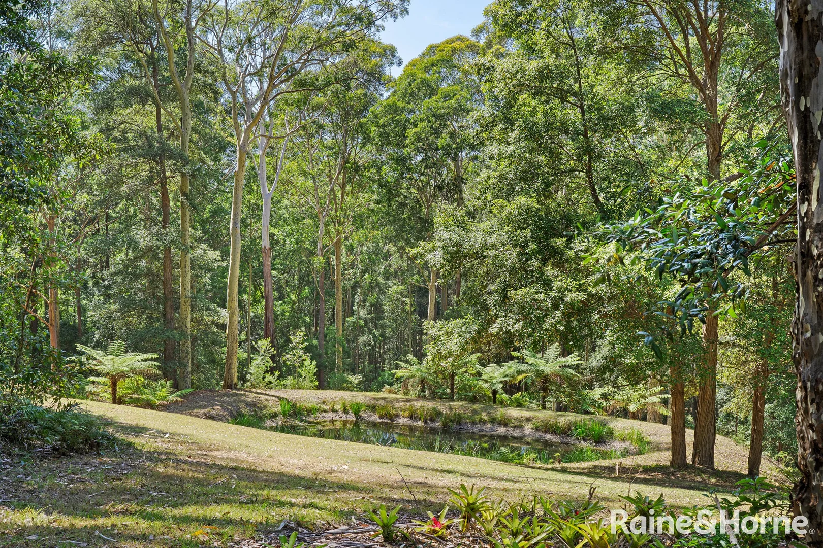 Additional image 32 of 63 Old Princes Highway, Termeil NSW 2539