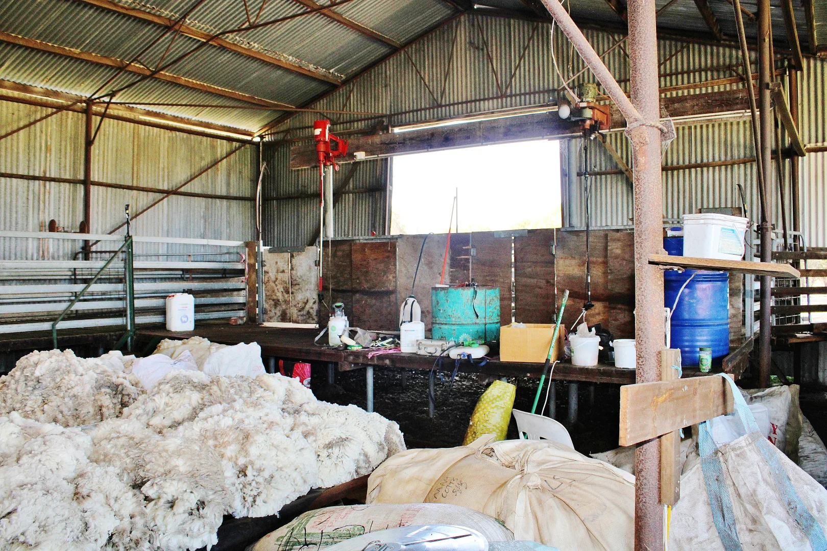 Additional image 29 of 256 WAGIN-DUMBLEYUNG ROAD, Wagin WA 6315