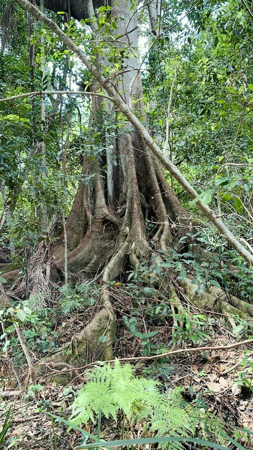 Additional image 27 of 5 Tanby Court, Mudgeeraba QLD 4213