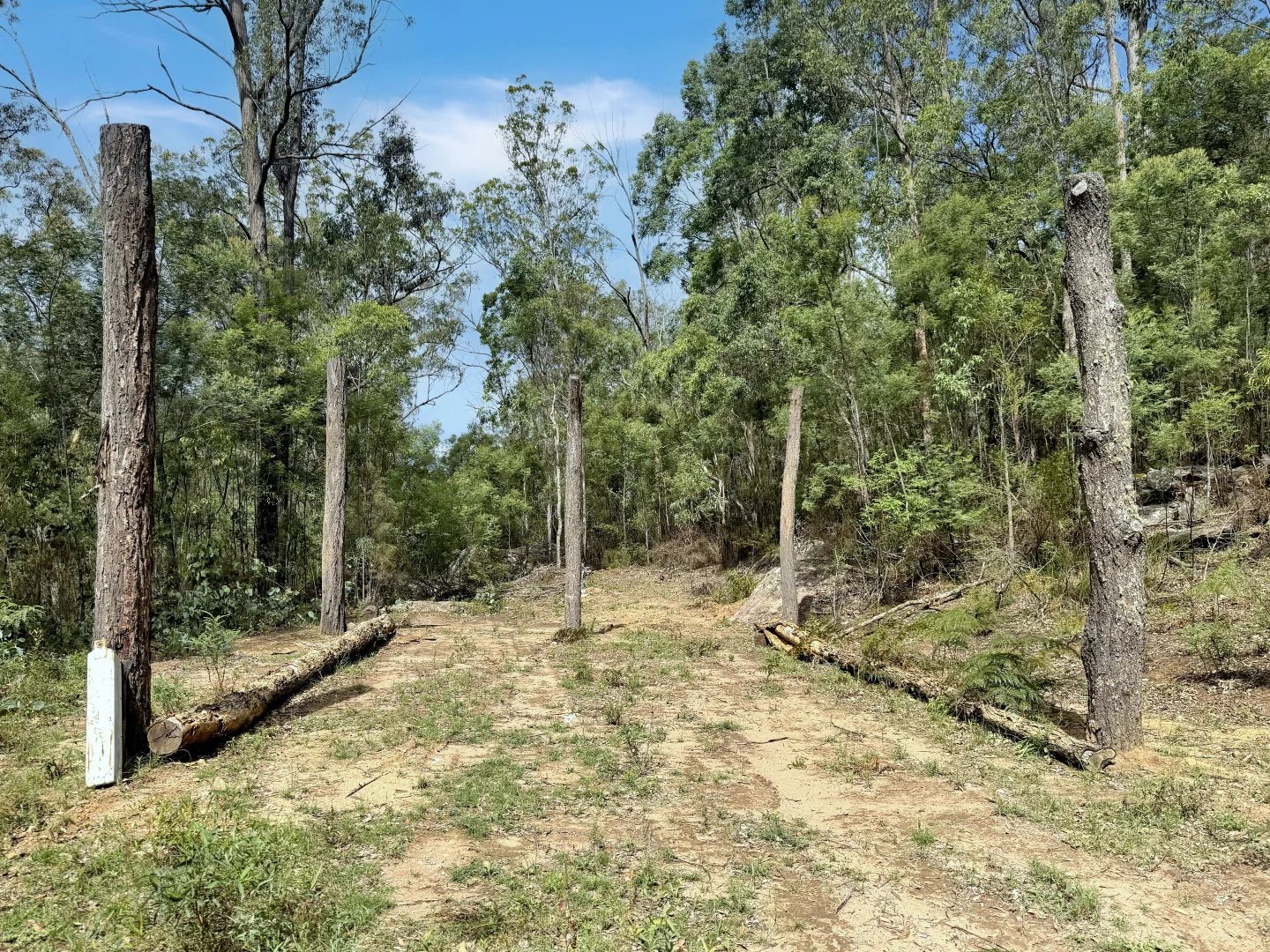 Additional image 9 of 946 Stockyard Creek Road, Paynes Crossing NSW 2325