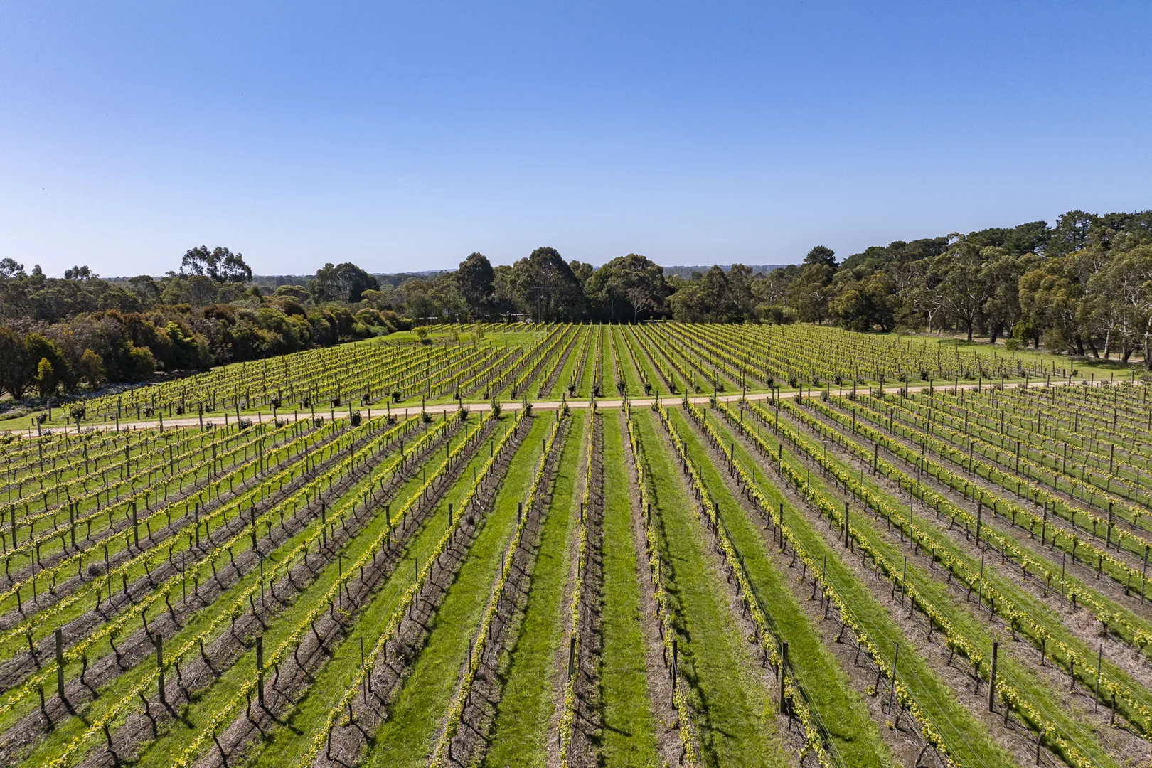 Additional image 13 of 437 Stumpy Gully Road, Balnarring VIC 3926