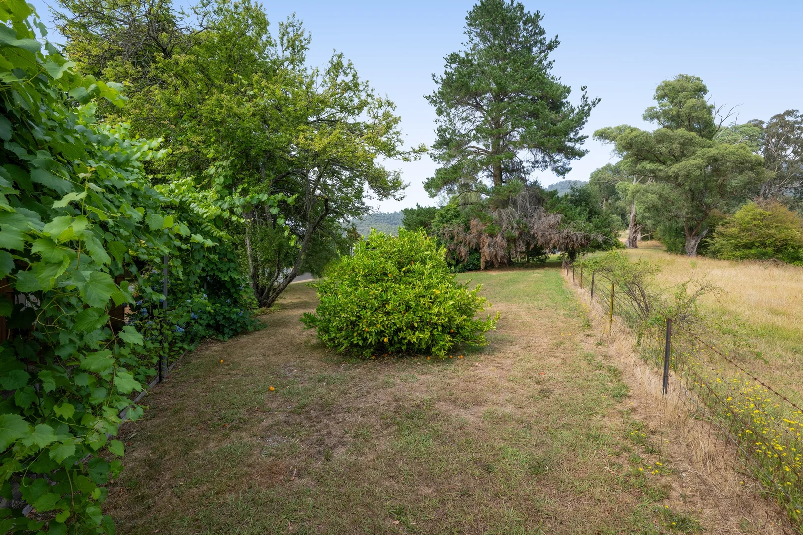 Additional image 6 of 3 Guy Court, Tawonga South VIC 3698