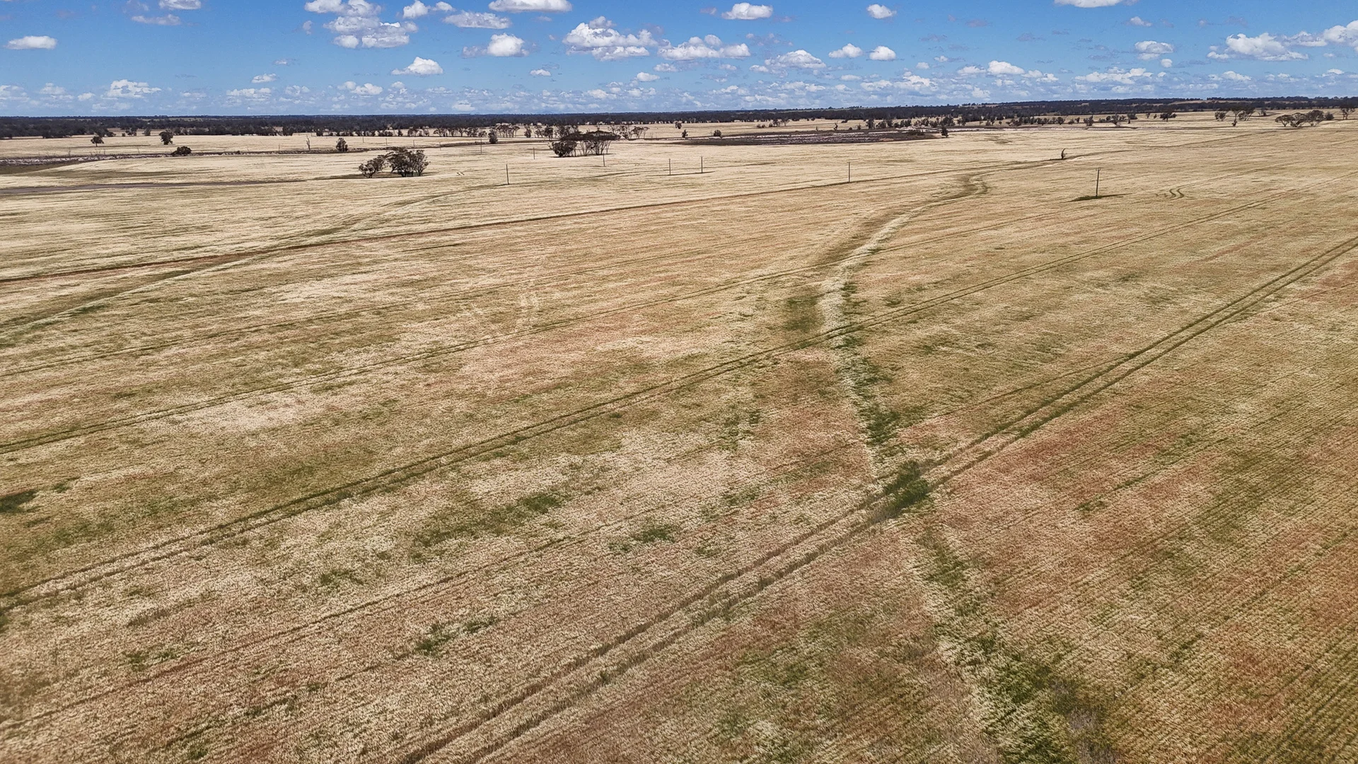 Additional image 9 of Kolonga Downs 175 McAuliffe Road, Katanning WA 6317