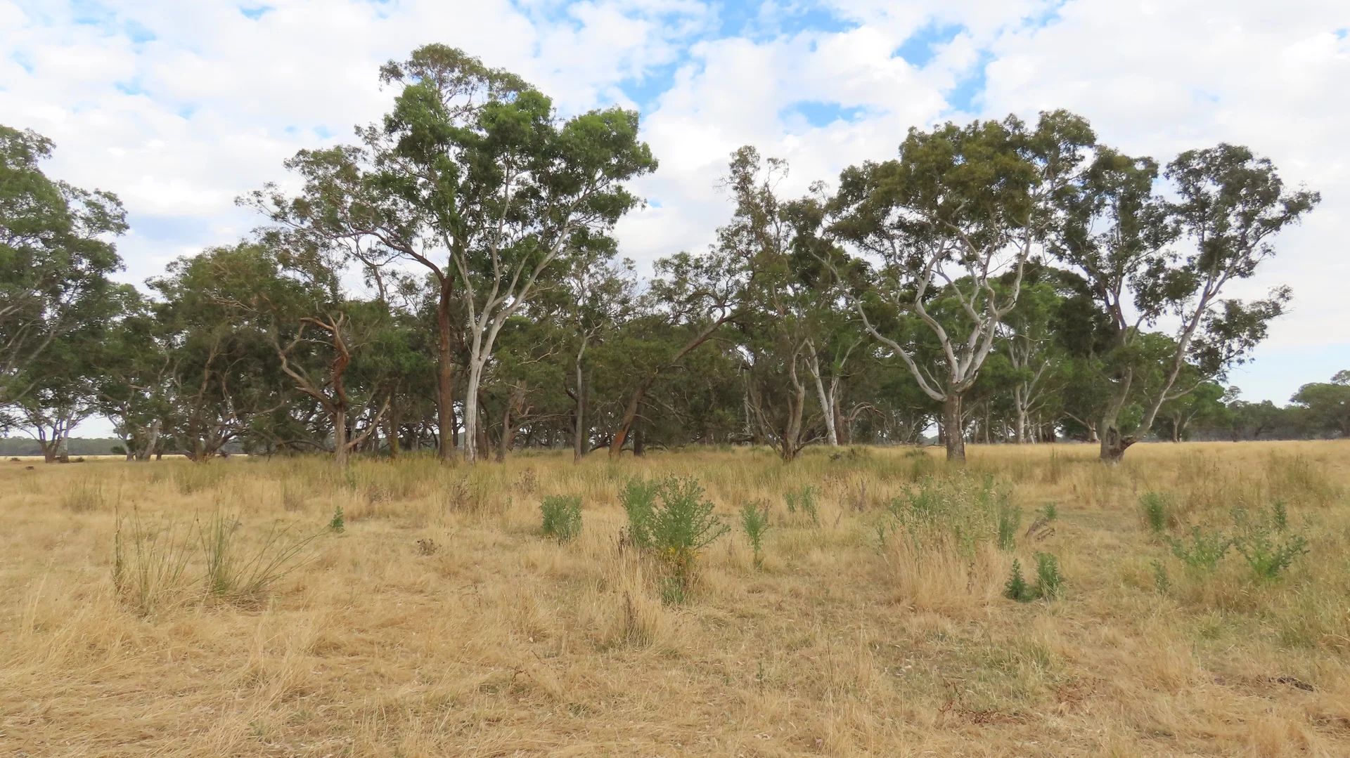 Additional image 25 of 110 Coote Rd, Moerlong SA 5278