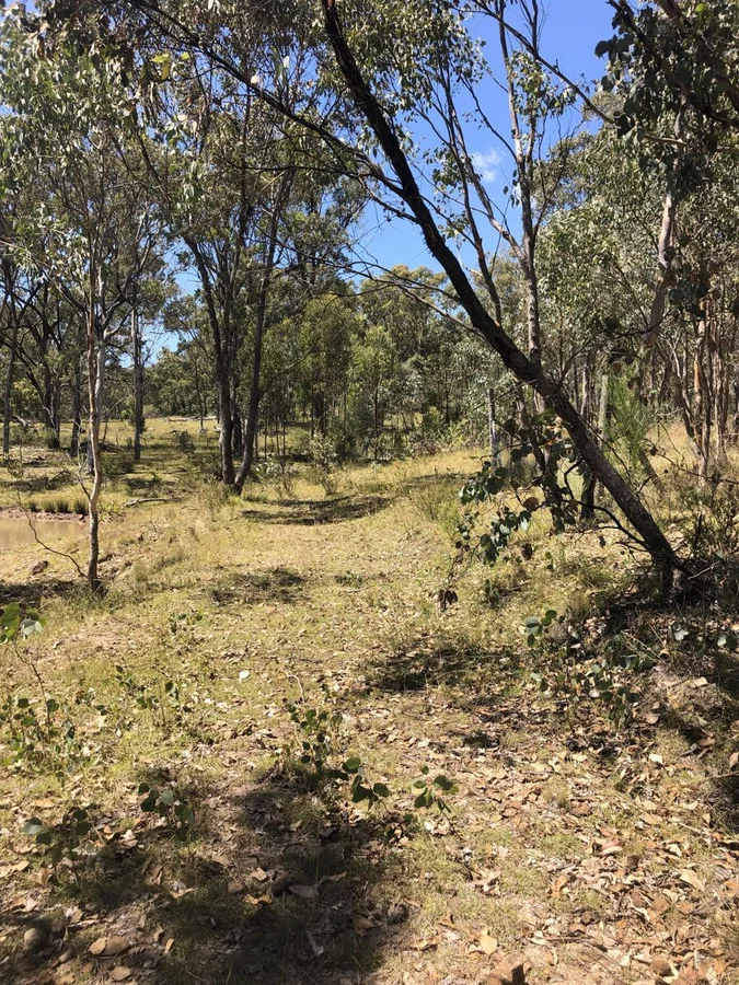 Additional image 10 of Lot 2 Clonmeen Road, Lindesay NSW 2347