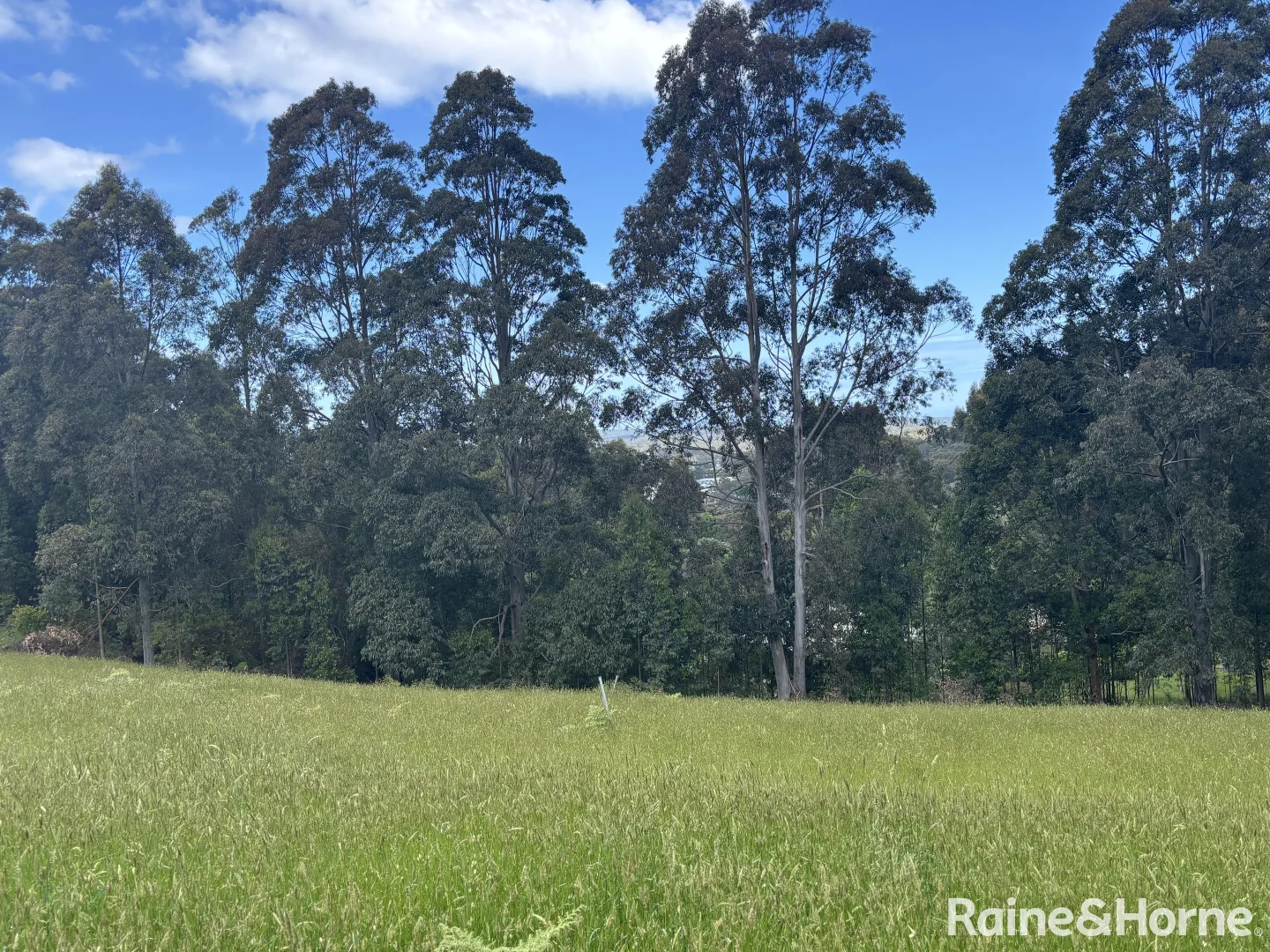 Additional image 4 of 2 Wishart Place, Denmark WA 6333