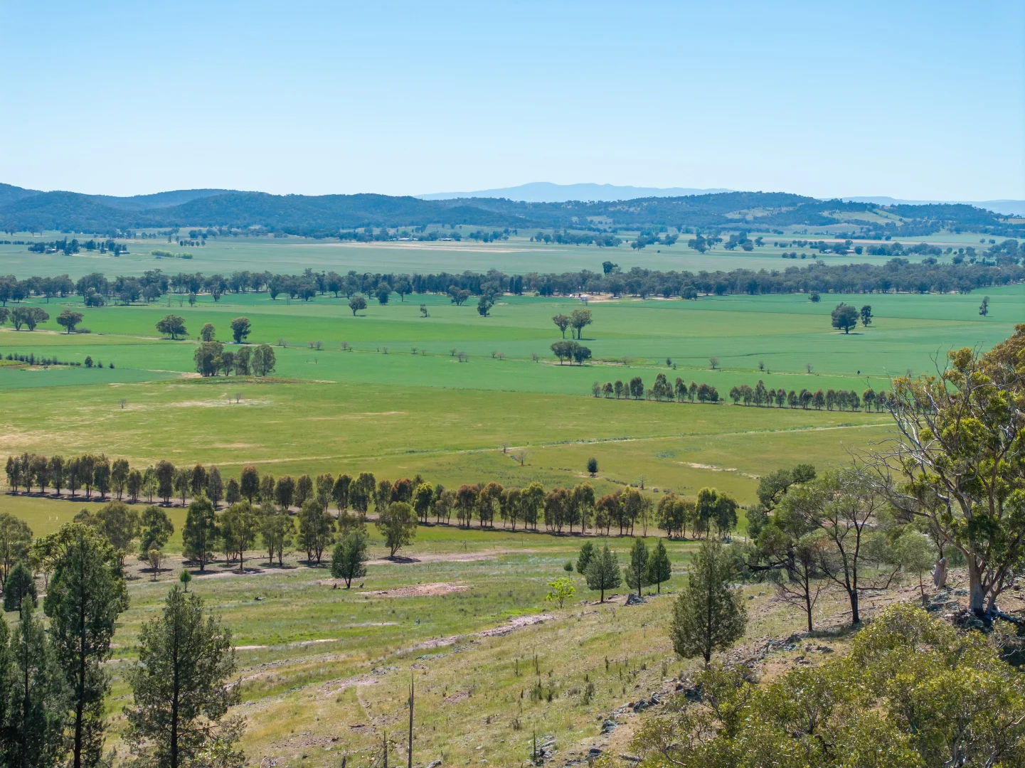 Additional image 35 of 92 Campbells Lane, Canowindra NSW 2804