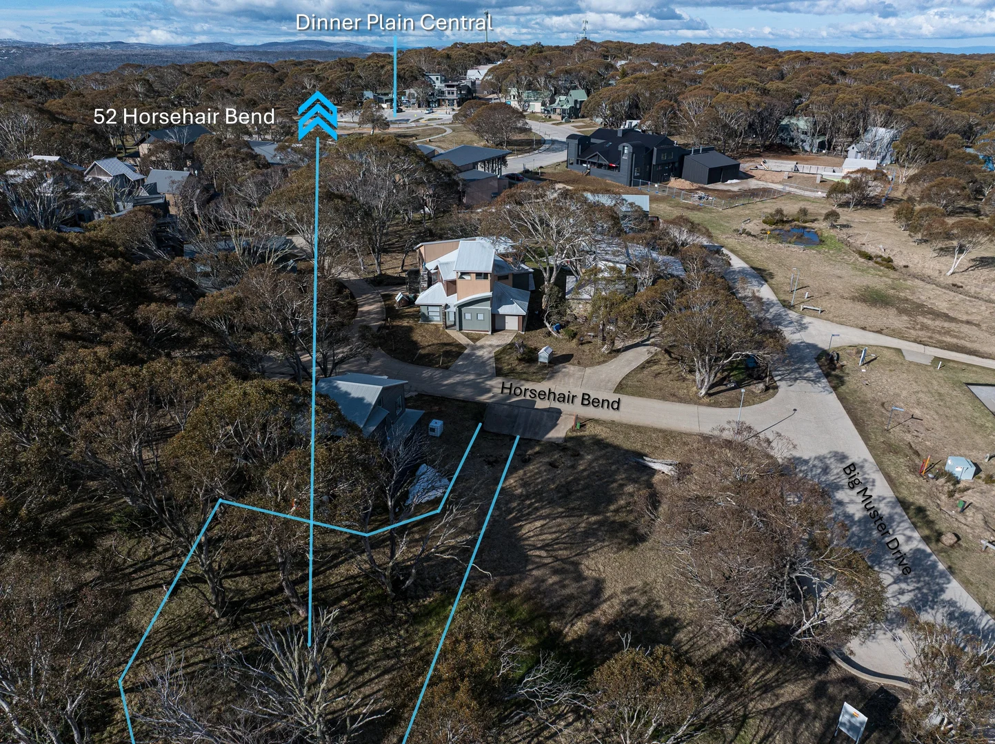 Additional image 8 of 52 Horsehair Bend, Dinner Plain VIC 3898