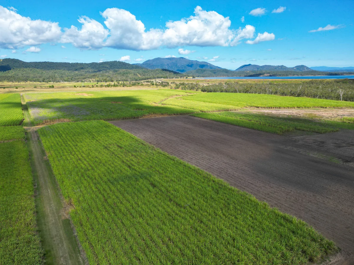 Additional image 5 of Lot 4 Marge Camerons Road, Marian QLD 4753