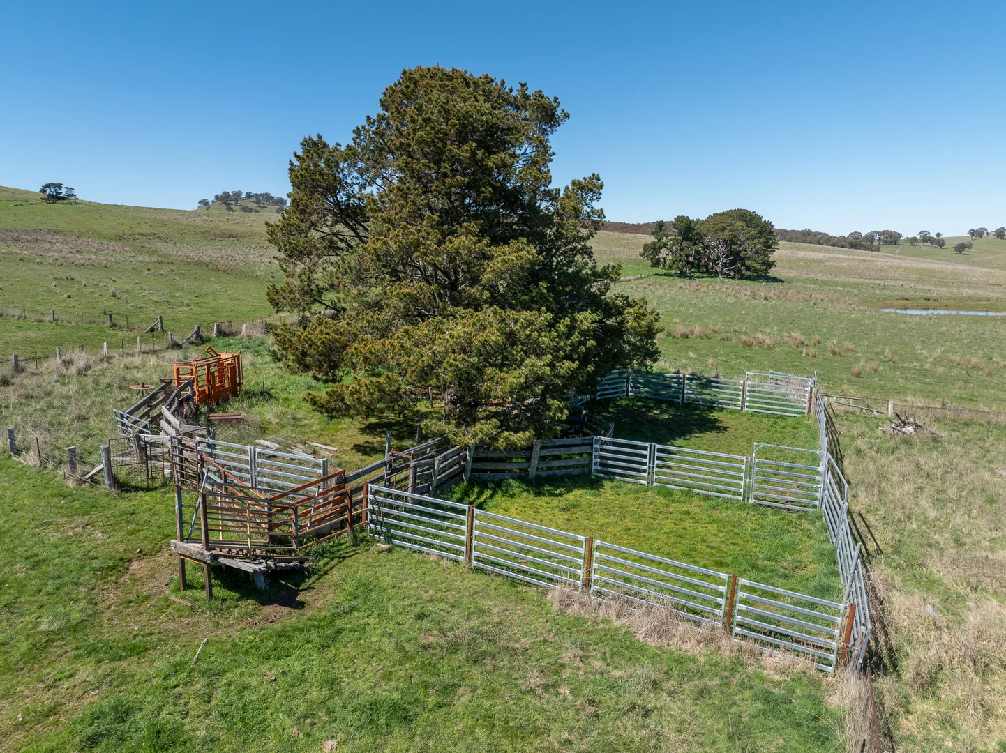 Additional image 15 of 242 Bundaleer Road, Newbridge NSW 2795