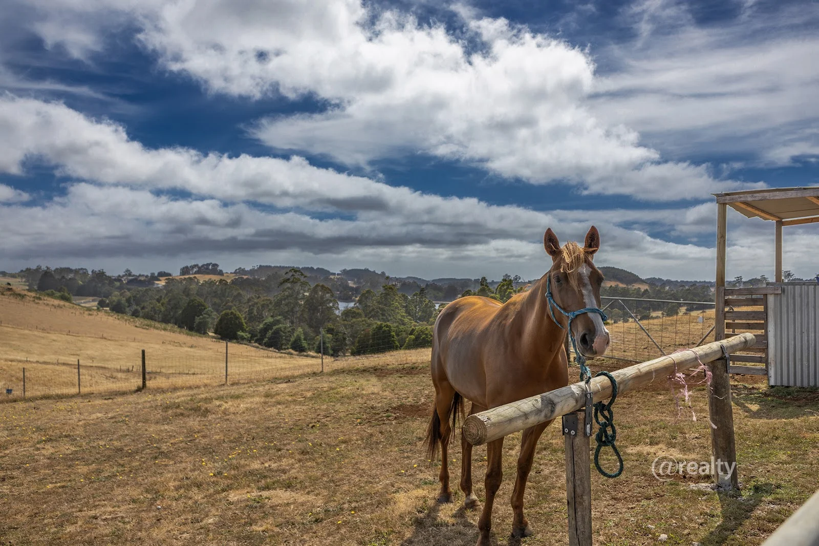 Additional image 3 of 1171 Ridgley Highway, Ridgley TAS 7321