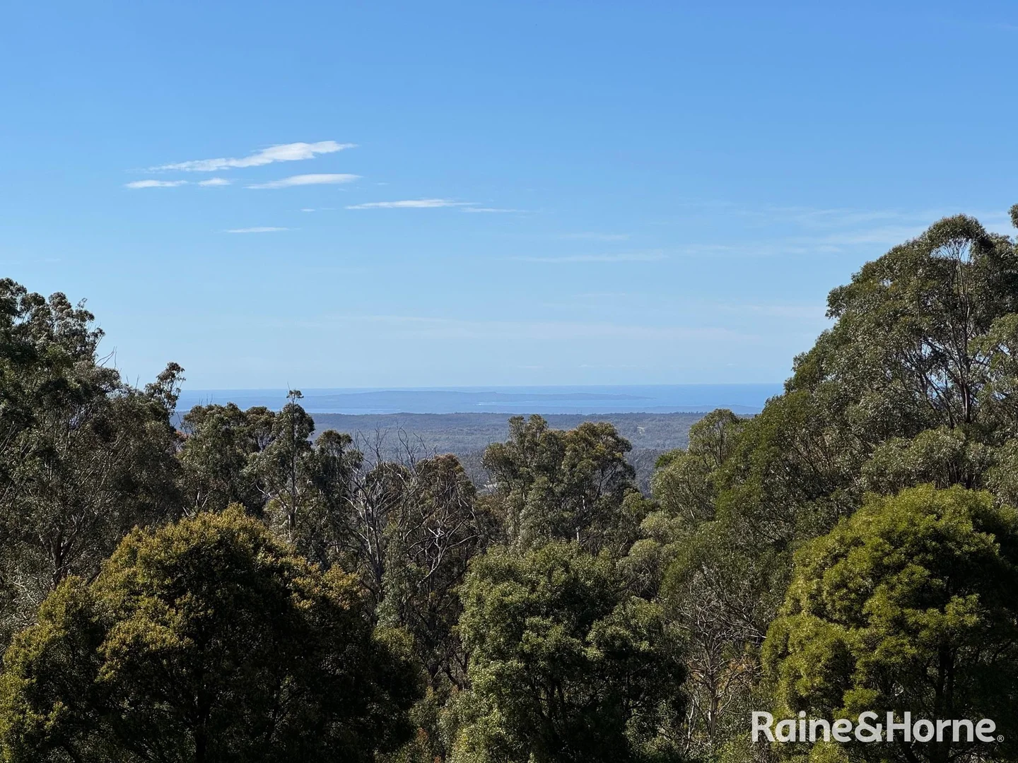 Additional image 2 of 36 Sturgiss Road, Sassafras NSW 2622