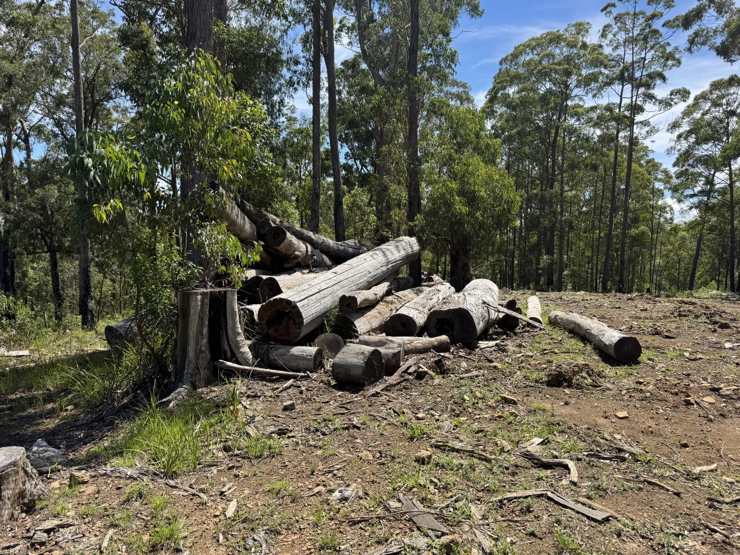 Additional image 12 of 191 Sheepstation Creek Road, Dundurrabin NSW 2453