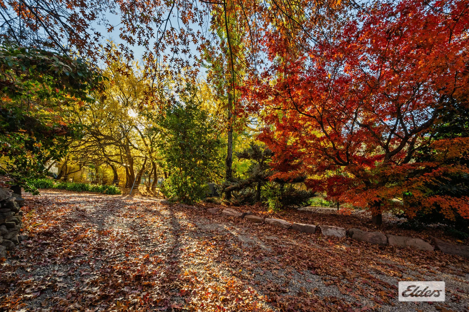 Additional image 31 of 134 Yackandandah Road, Yackandandah VIC 3749