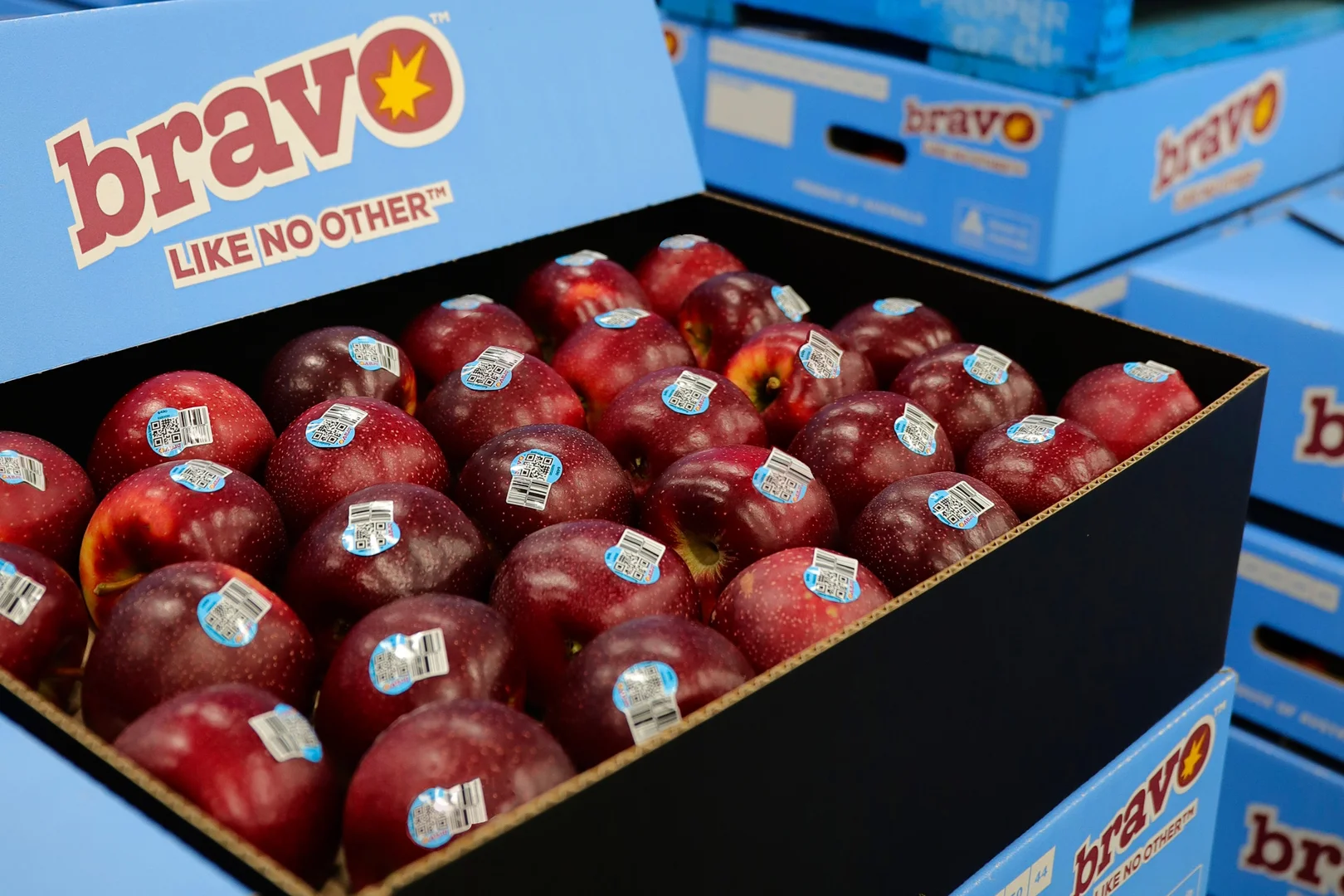 Additional image 21 of Orrvale VIC 3631