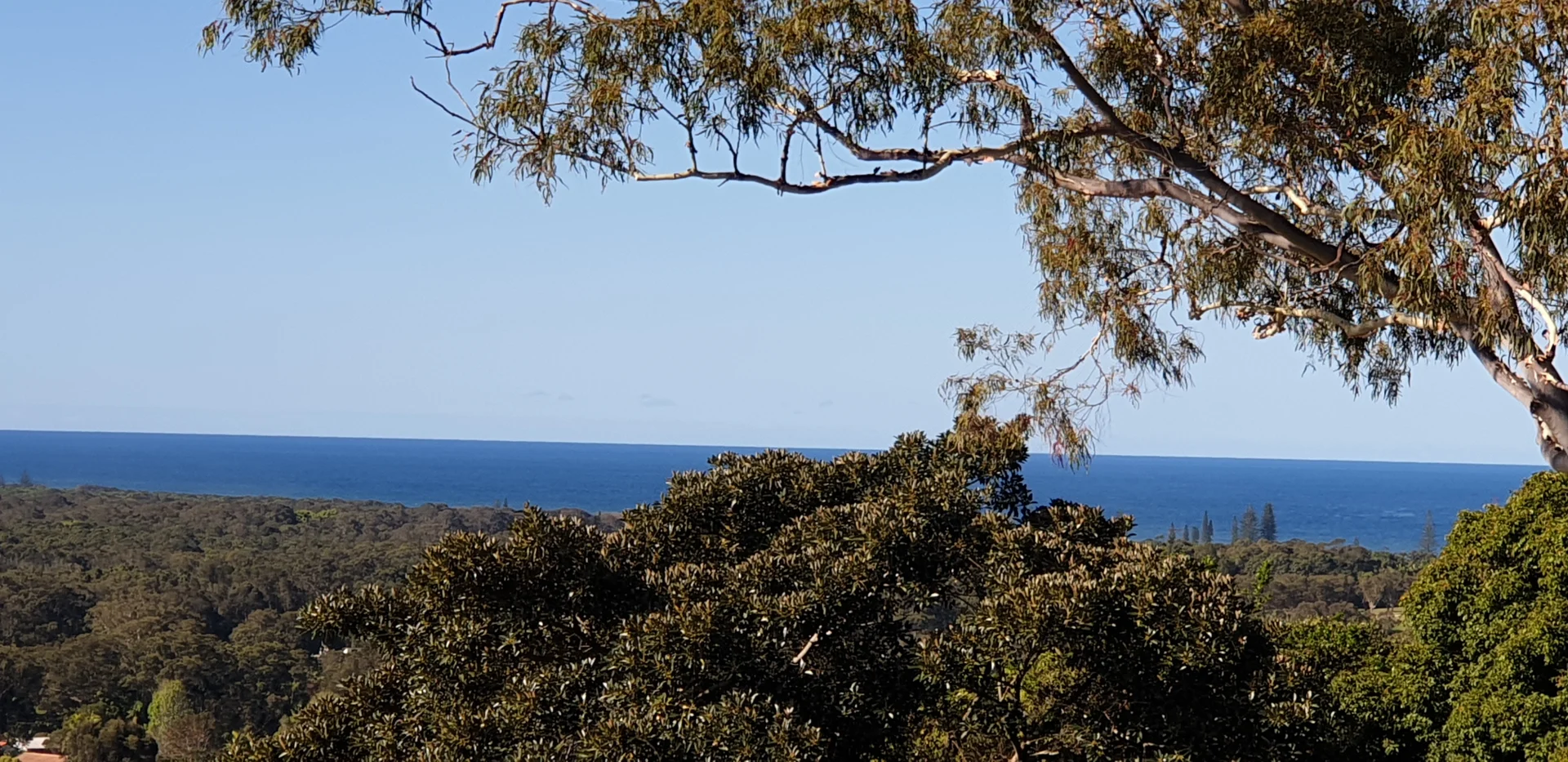 Additional image 3 of 32 Tongarra Drive, Ocean Shores NSW 2483