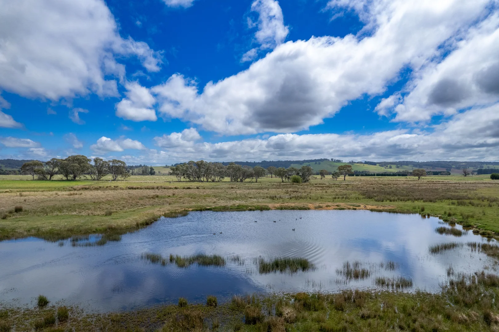 Additional image 11 of 862 kialla road, Crookwell NSW 2583