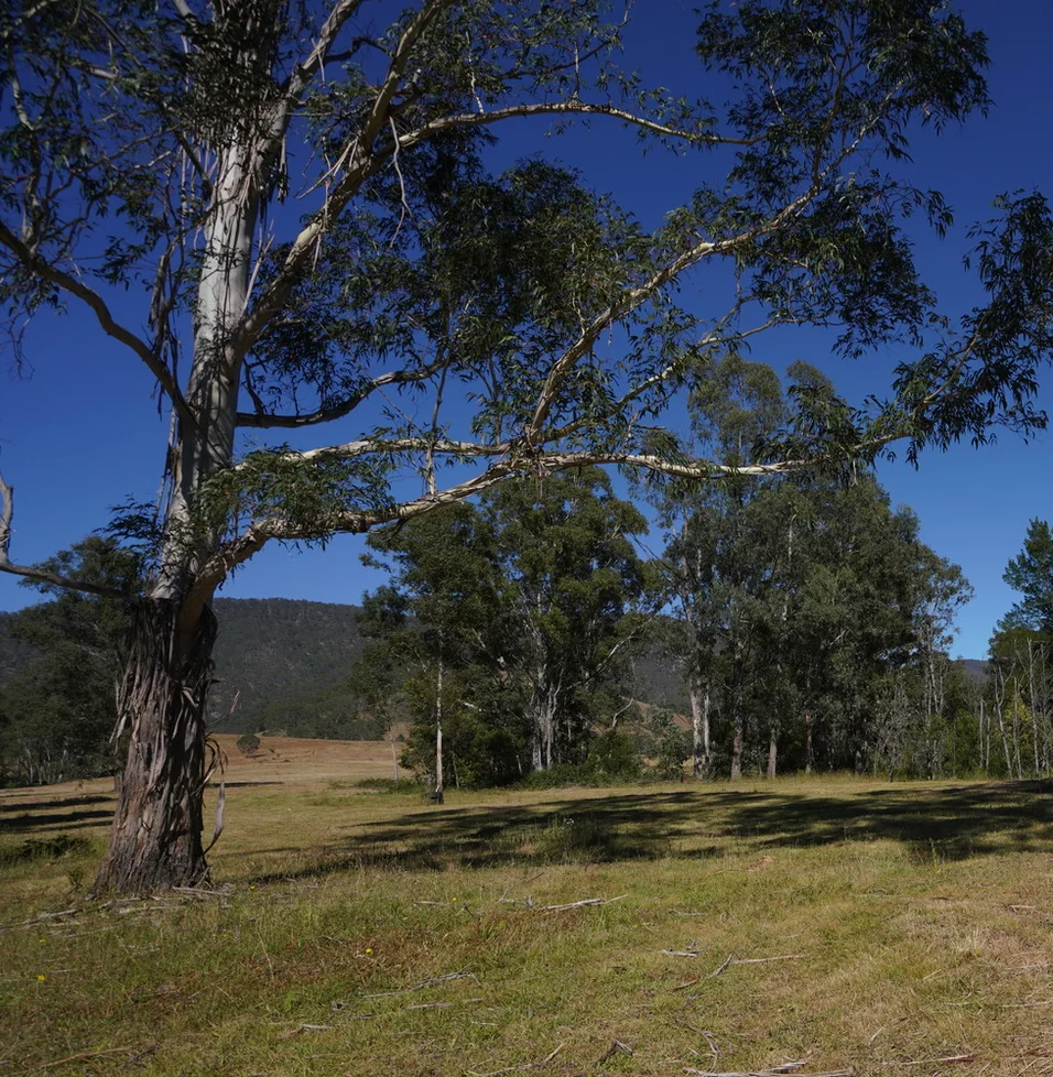 Additional image 4 of 3/1076 Neringla Road, Braidwood NSW 2622