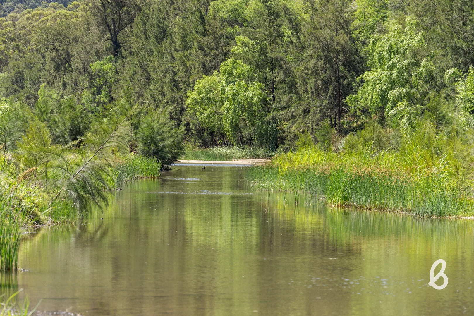 Additional image 4 of 562 Yarrawa Road, Yarrawa NSW 2328
