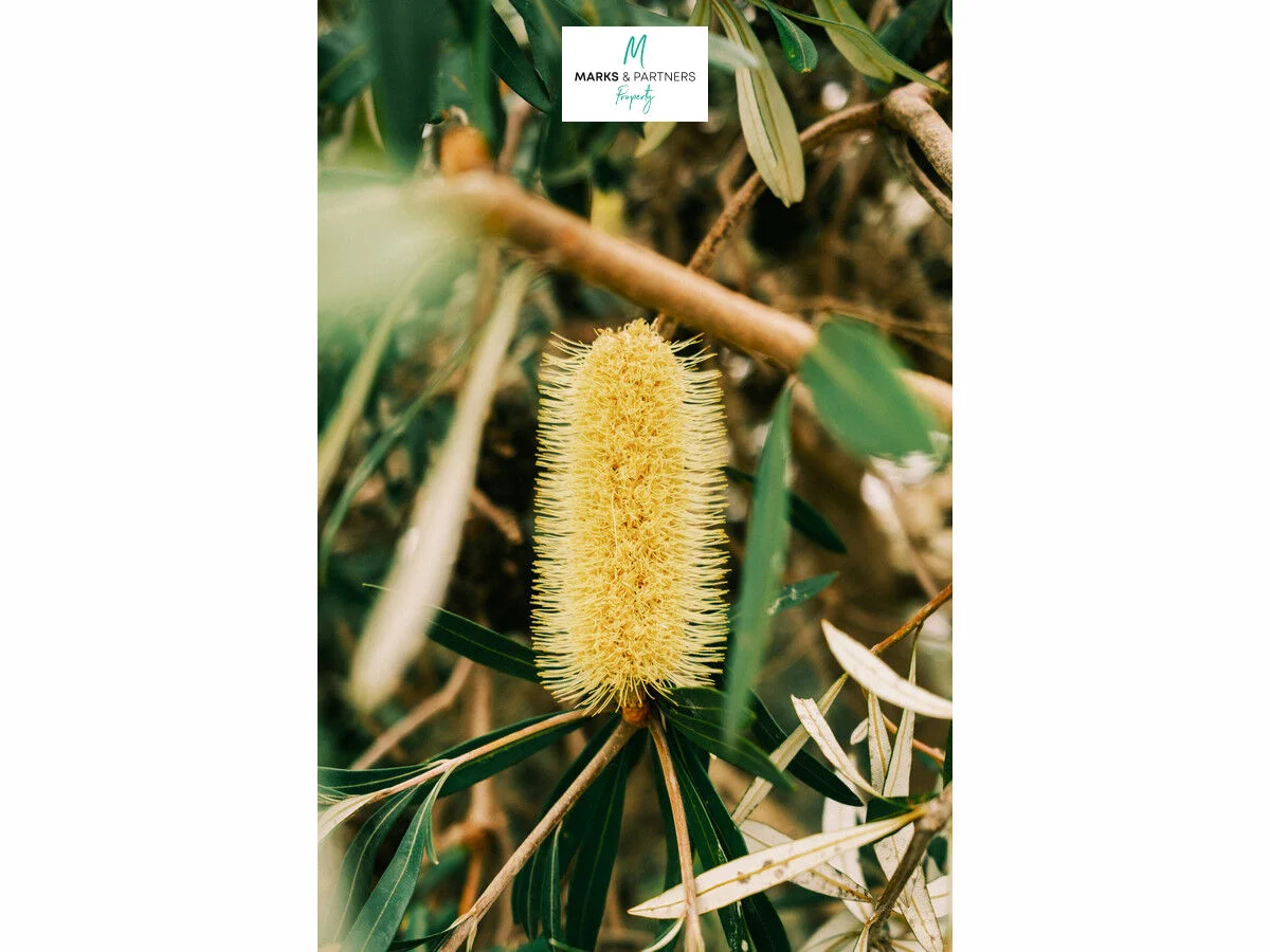 Additional image 6 of Lot 106 Grassbird Circuit, Wondunna QLD 4655