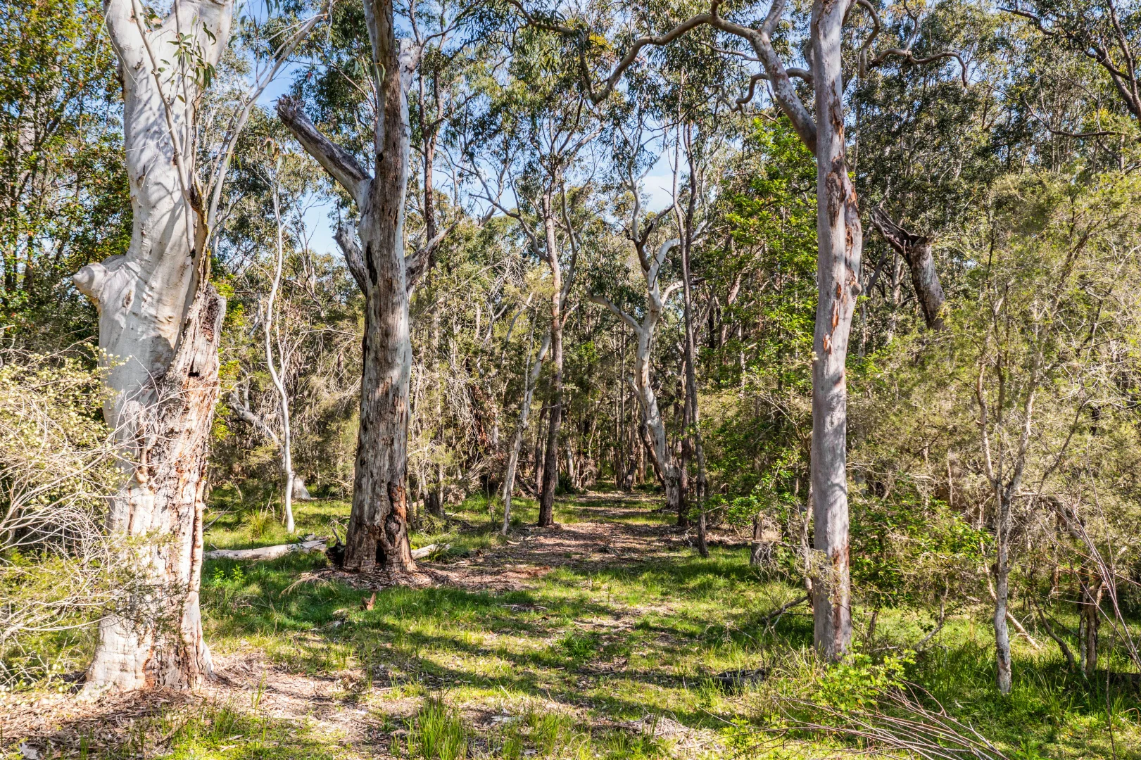 Additional image 10 of 285 Cams Boulevard, Summerland Point NSW 2259