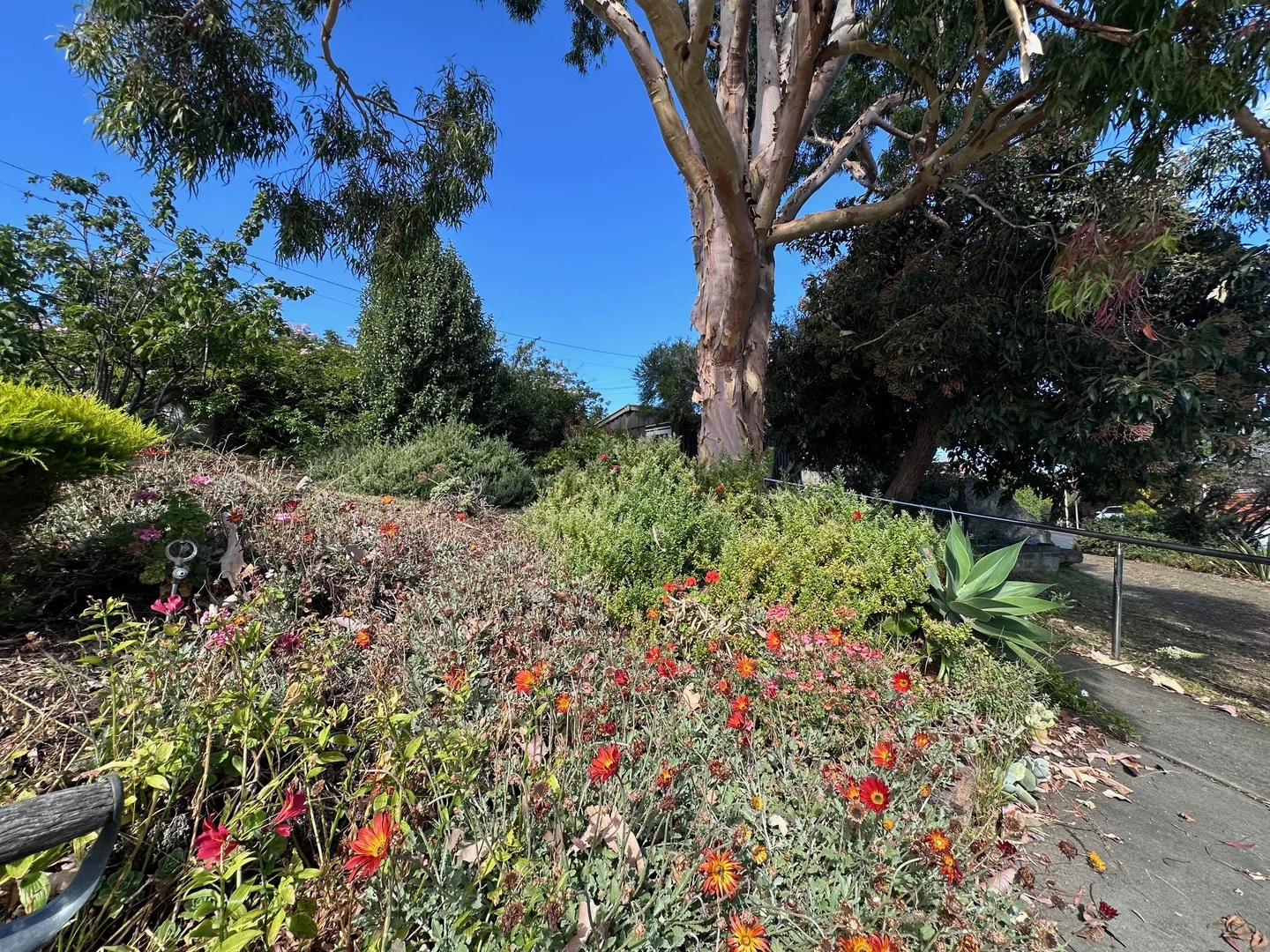 Additional image 52 of 15 View Street, Midway Point TAS 7171