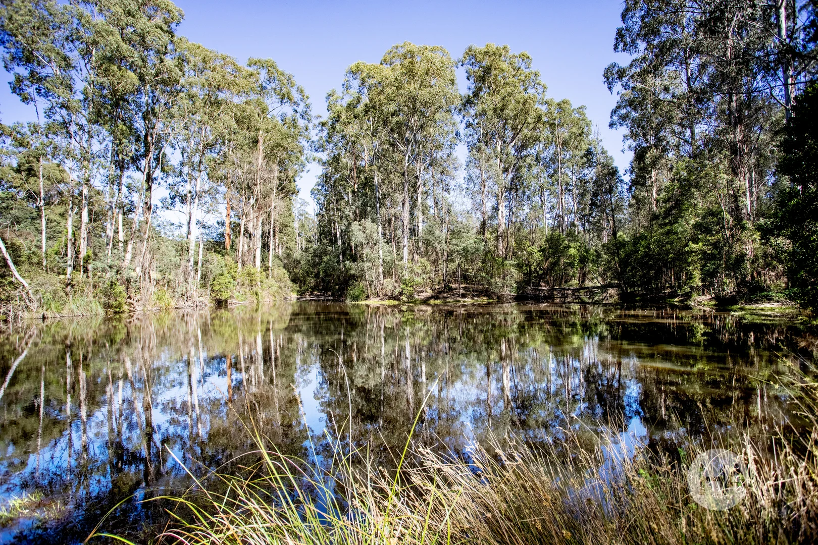 Additional image 12 of 20 Nichols Road, Narbethong VIC 3778