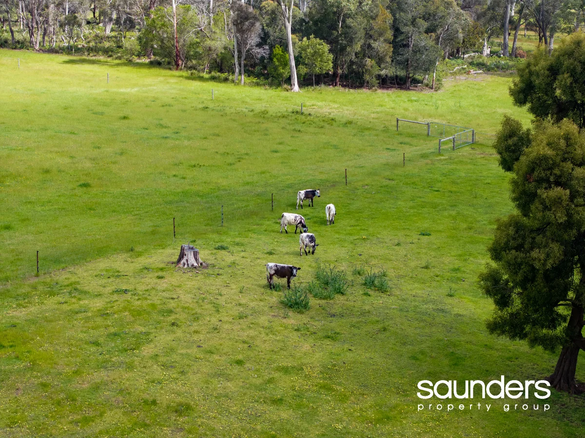 Additional image 20 of 1262 Bridport Road, Bridport TAS 7262