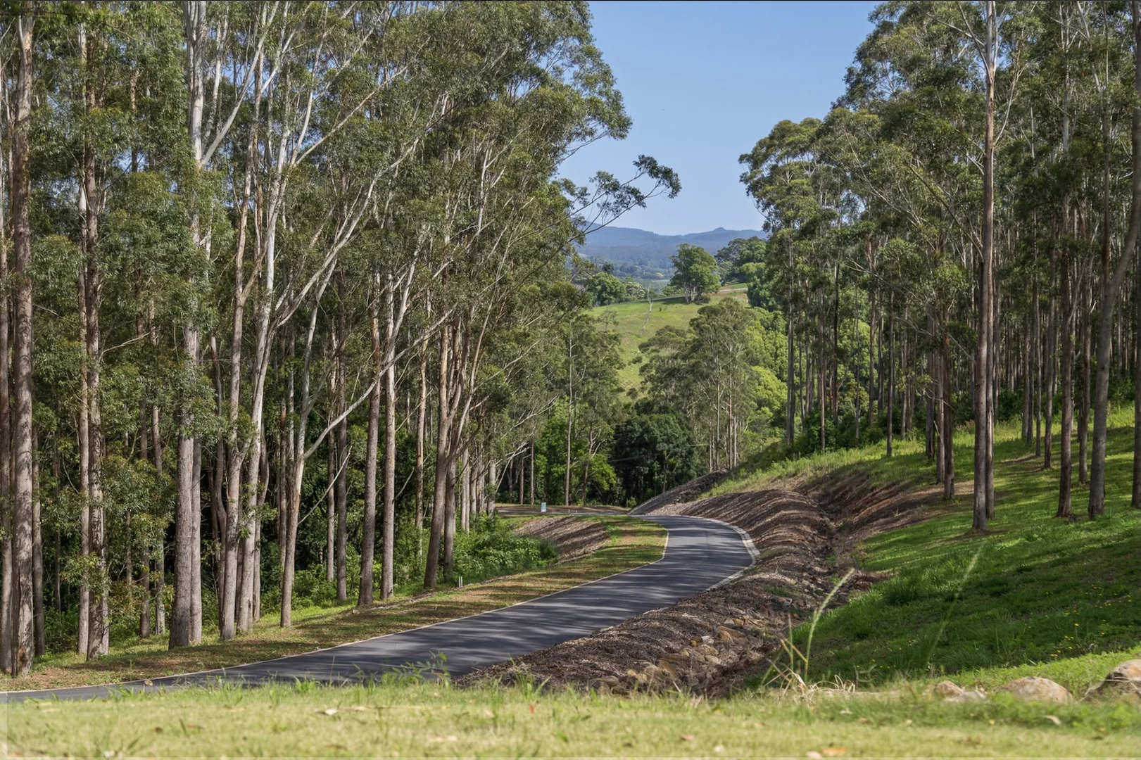 Additional image 26 of 315 Coorabell Road, Coorabell NSW 2479