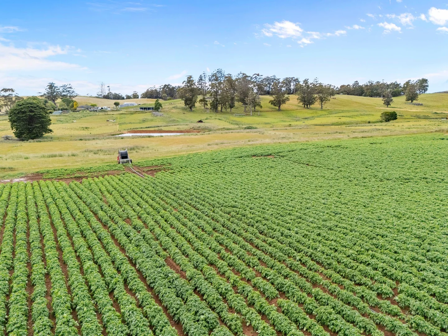 Additional image 22 of 1207 Sheffield Road, Lower Barrington TAS 7306