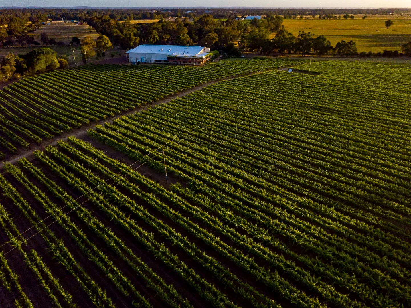 Additional image 6 of 118 Mallokup Road, Capel WA 6271