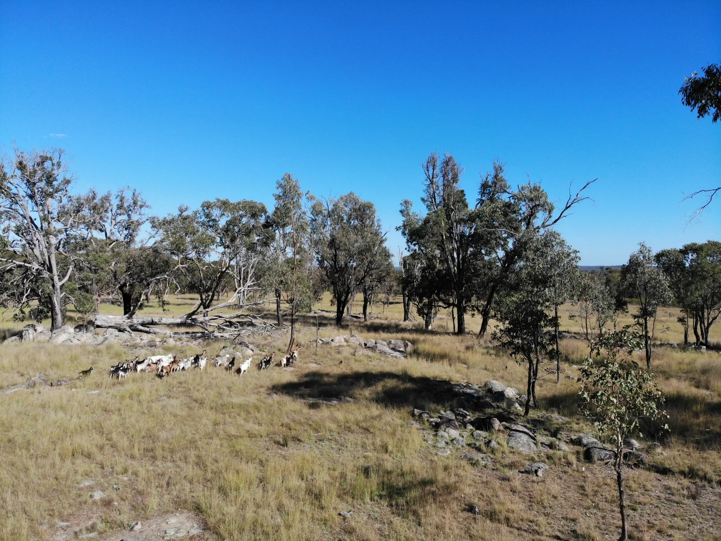 Additional image 11 of 107 Long Gully Road, Inverell NSW 2360