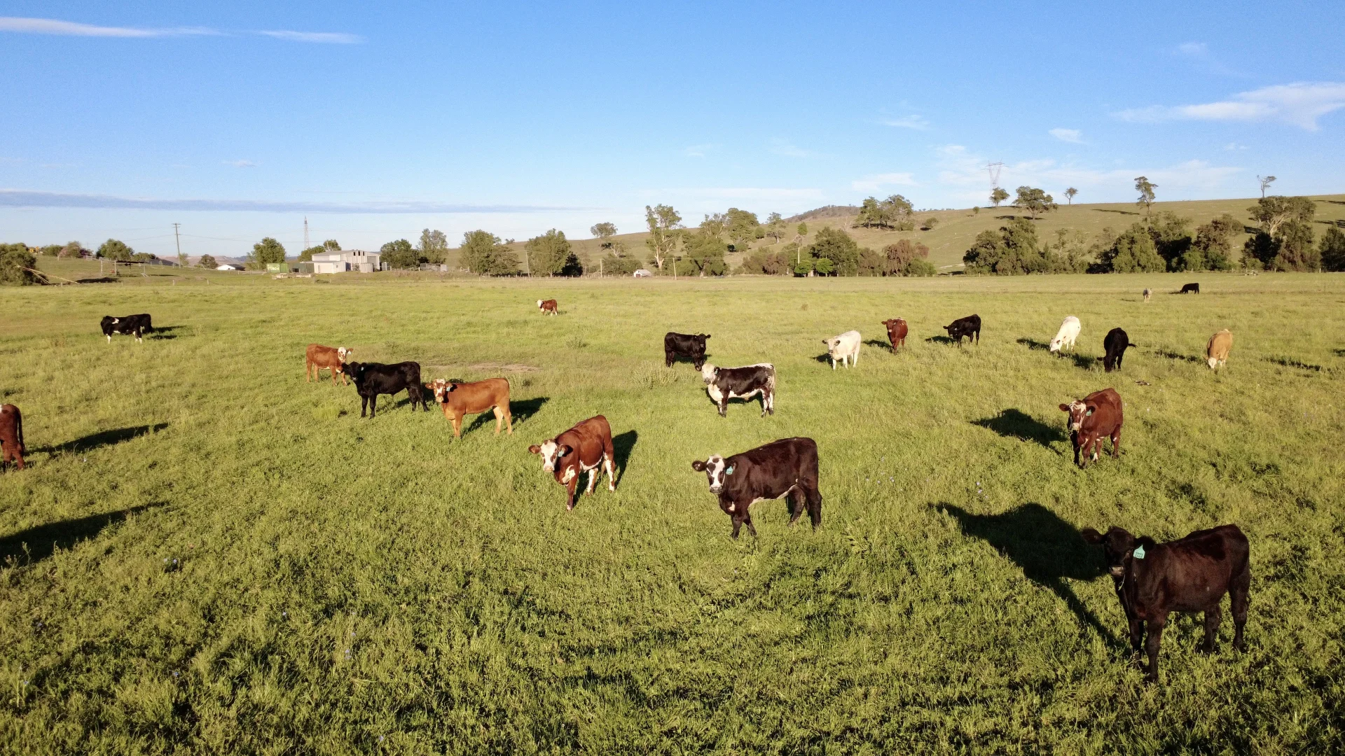 Additional image 35 of "Gap View" Wells Gully Road, Muswellbrook NSW 2333