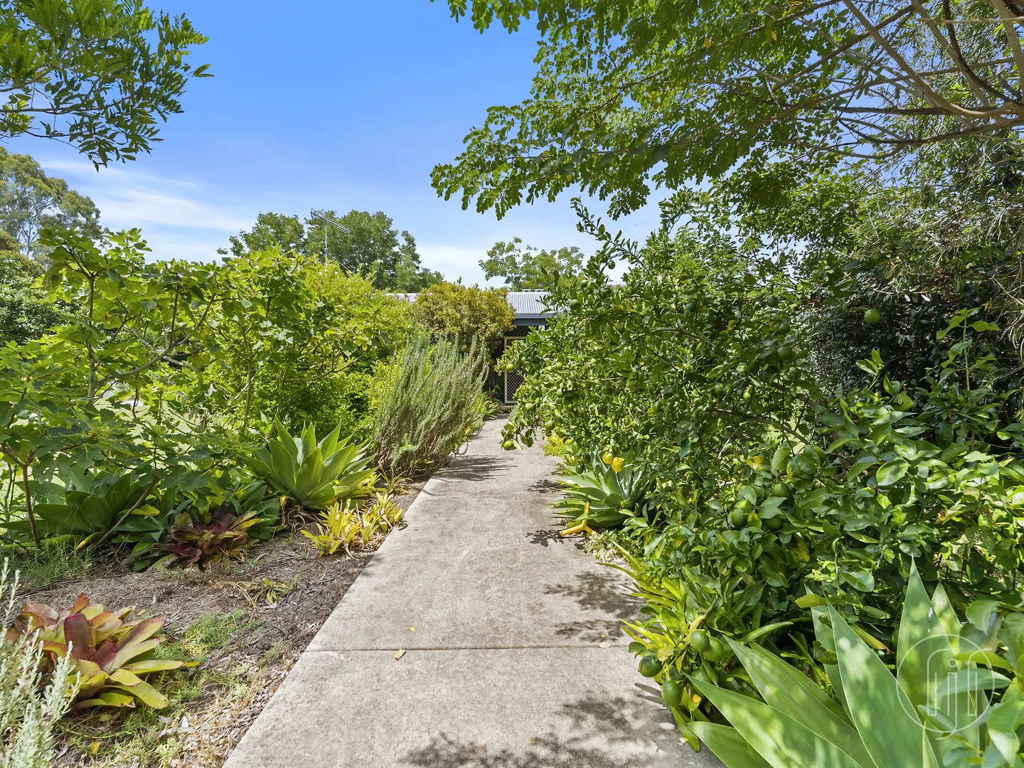 Additional image 22 of 989 Yabba Creek Road, Imbil QLD 4570