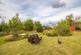 Additional image 5 of 1 Battan Forest Cottages, Kiltarlity, Beauly, IV4 7HT