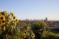 Additional image 5 of 5110 Telegraph Ave, Oakland, CA, 94609