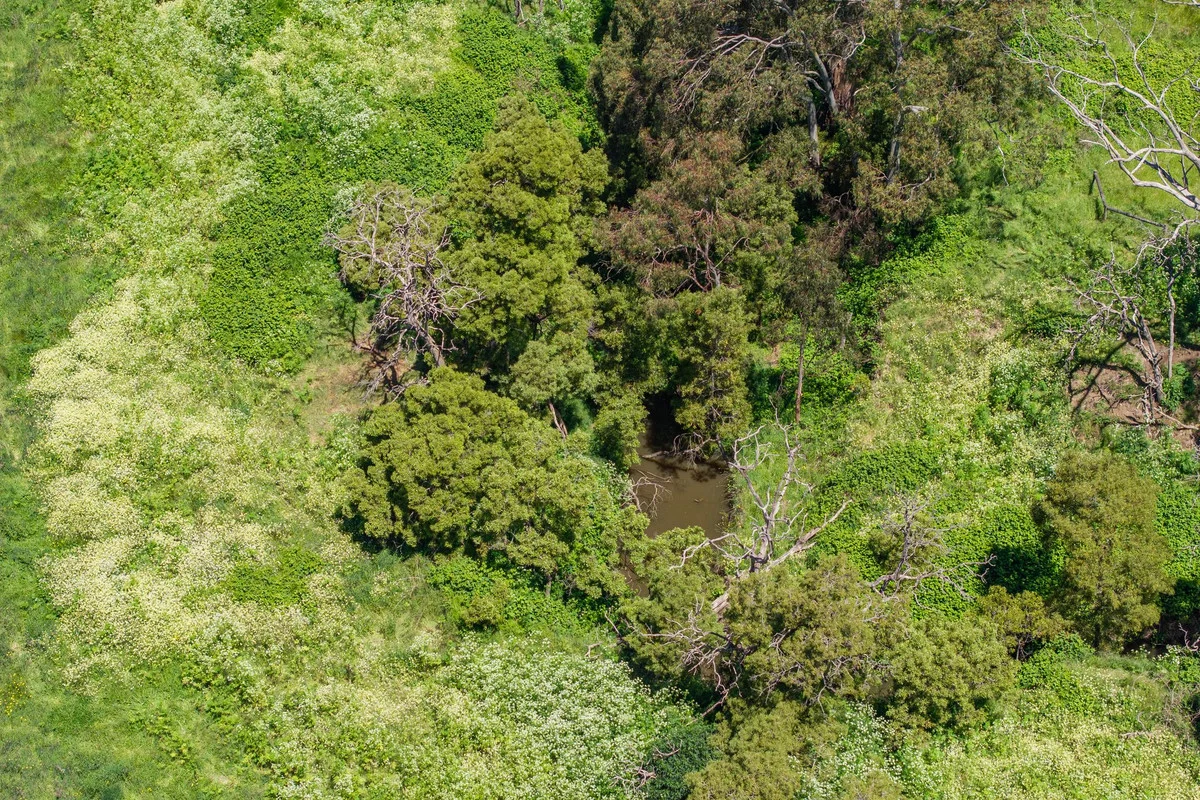 Additional image 8 of 265 Pennyroyal Station Road, Pennyroyal VIC 3235