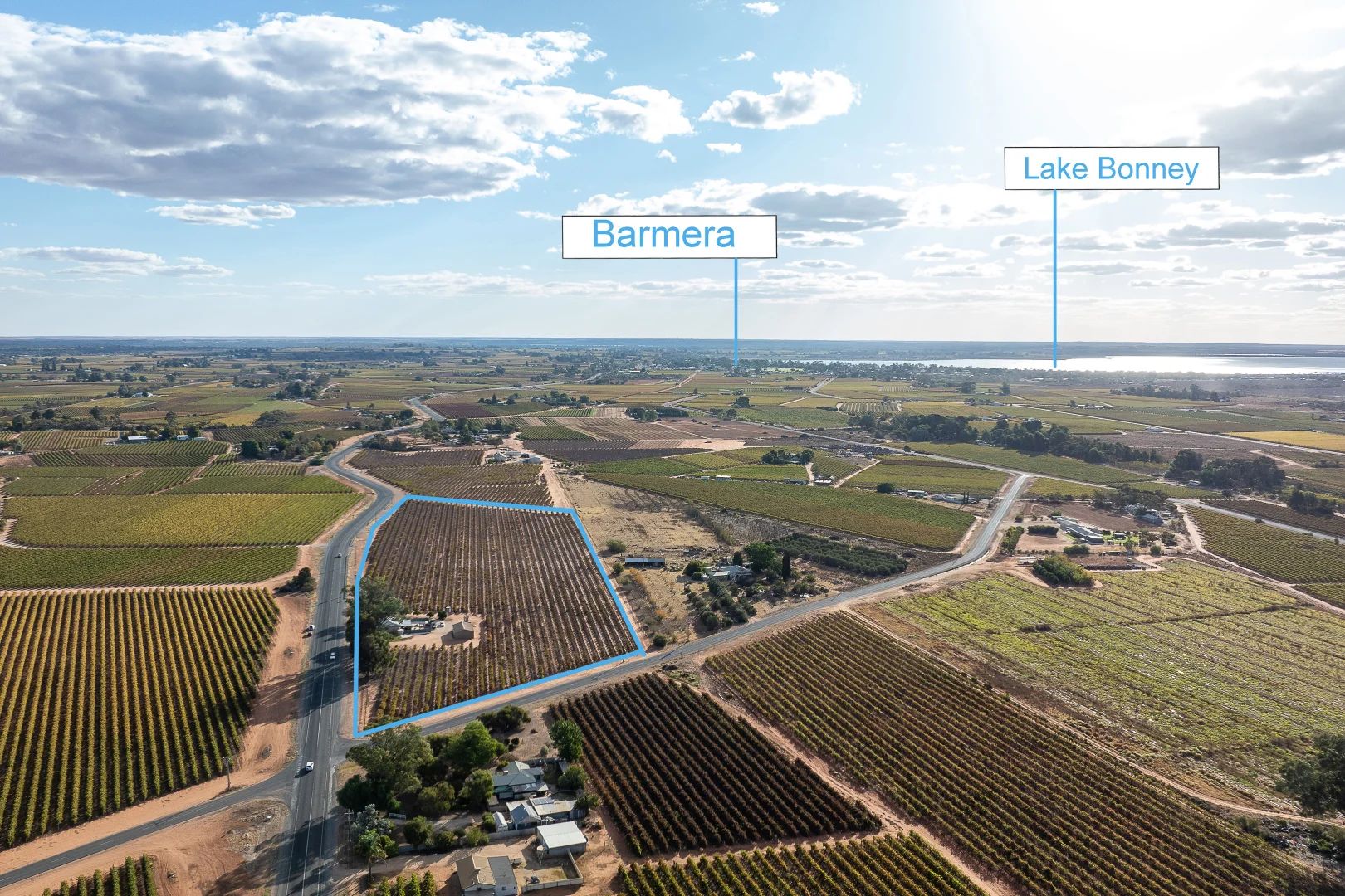 Additional image 13 of 213 Old Sturt Highway, Barmera SA 5345