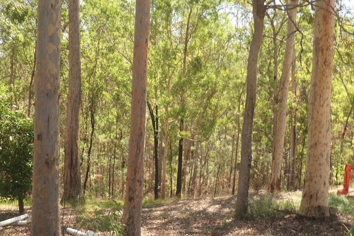 Additional image 34 of Bulldog NSW 2469