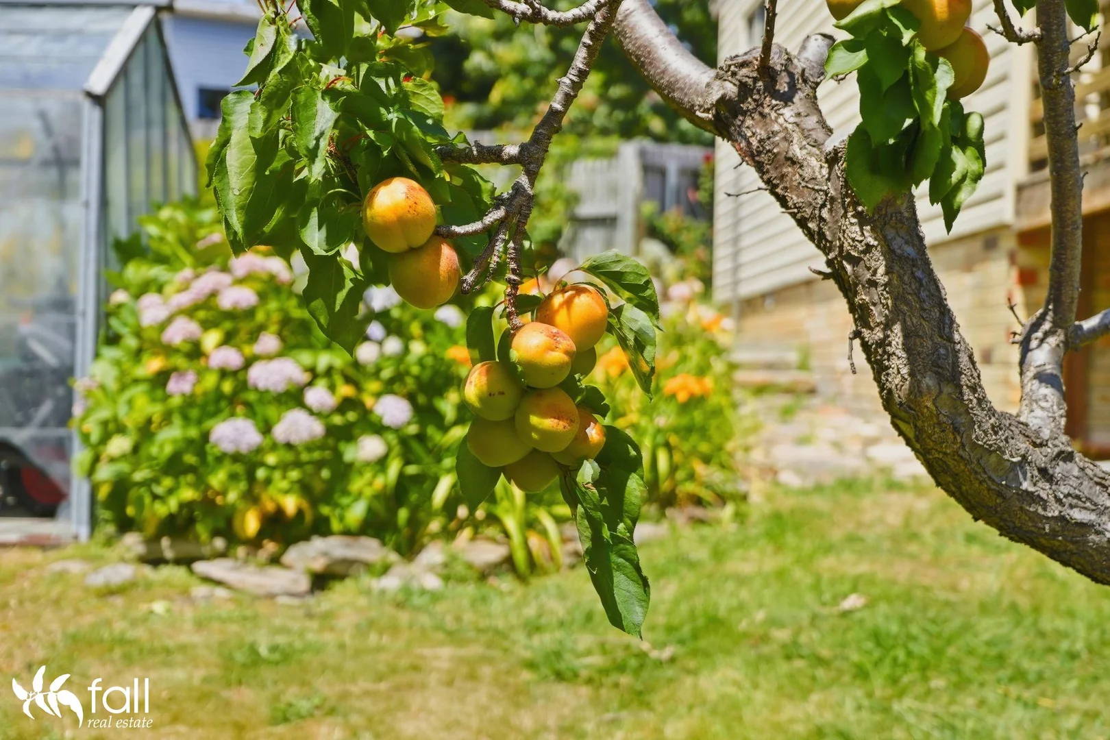 Additional image 31 of 24 Hutchins Street, Kingston TAS 7050