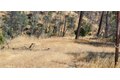 Additional image 5 of 15687 Stagecoach, Corning, CA, 96021