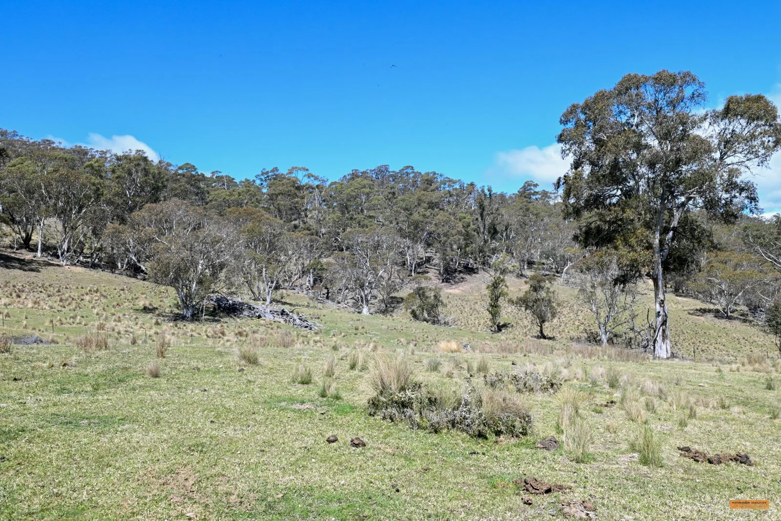 Additional image 28 of "King's Ridge" 698 Avonside Road, Avonside NSW 2628