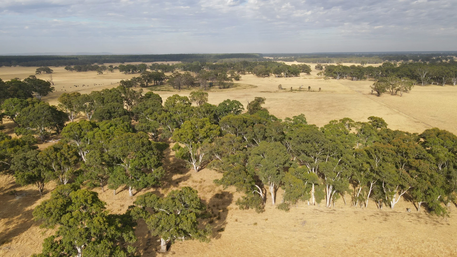 Additional image 9 of 110 Coote Rd, Moerlong SA 5278