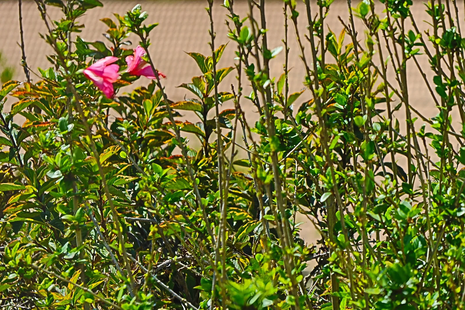 Additional image 6 of 18/11 Payne Street, Narooma NSW 2546